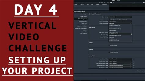 How To Set Up Vertical Video In Davinci Resolve Youtube