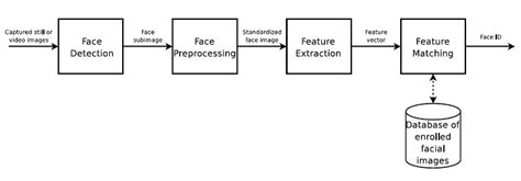 The Four General Steps In Face Recognition Download Scientific Diagram