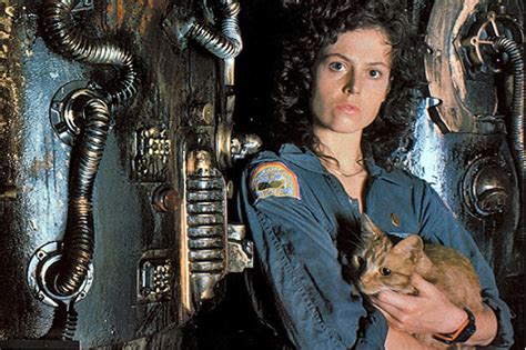 filosofiadeandarxcasa : mayo 2020