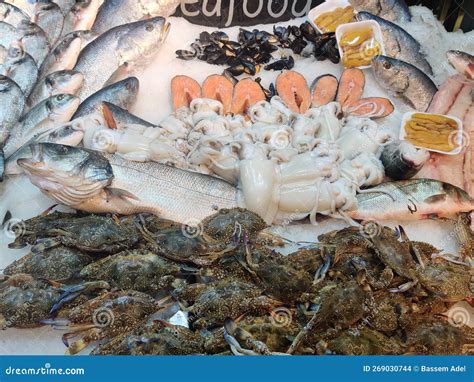 Fresh Seafood On Crushed Ice In Fish Market Stock Photo Image Of