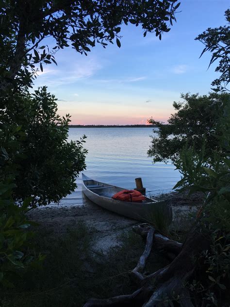 Mosquito Lagoon Was Predictably Buggy And Muggy But Oh So Pretty R