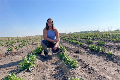 Spud Tacular Innovation USask PhD Student Investigates Nutrient