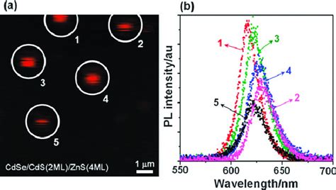 A Fluorescence Image Of Organic Soluble Cdse Cds Ml Zns Ml