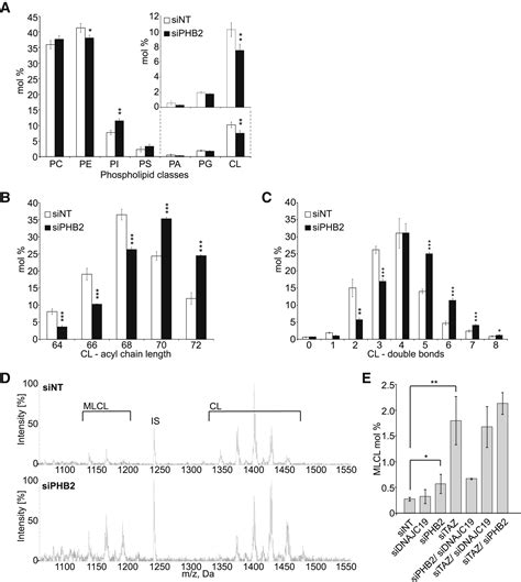 DNAJC19 A Mitochondrial Cochaperone Associated With Cardiomyopathy