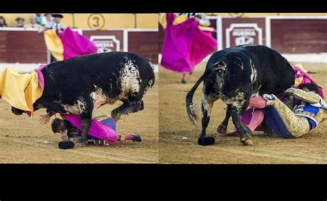 Video Brutal Cornada Que Recibi El Torero Espa Ol Paquirri