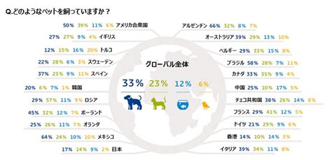 「ペットを迎える準備」共に住みやすい家づくり 創業46年、2000組のお客様を笑顔にしてきた木の家専門サイエンスホーム青森店・伊藤光建設