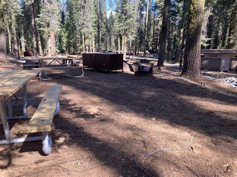 Site 200 Double Crane Flat Campground