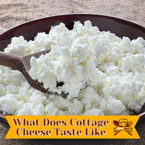 What Does Cottage Cheese Taste Like Trembom