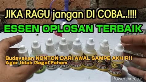 OPLOSAN Essen Ikan Mas BABON Cocok Segala Musim YouTube