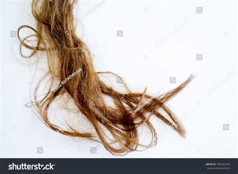 image damaged hair stock photo  shutterstock