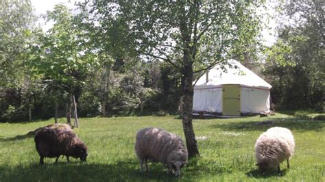 Glamping in Ireland - a glamorous wilderness experience - Ecobnb