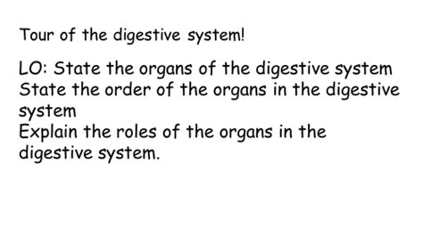 Digestive System Practical Lesson Ks3 Digestive Organ System Teaching