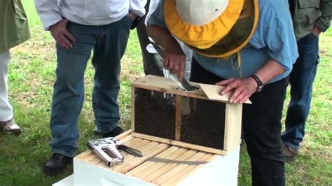 Installing Package Honey Bees The Easy Way Youtube