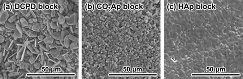 Typical Scanning Electron Microscopy Sem Micrographs Of A Dcpd Block Download Scientific