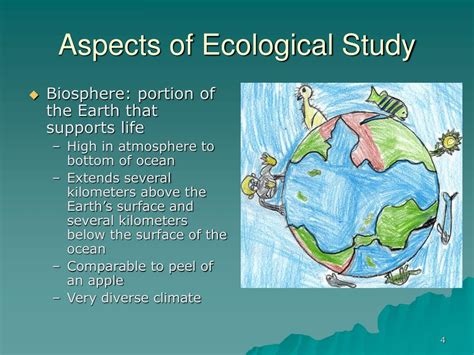 Ppt Chapter Principles Of Ecology Powerpoint Presentation Free