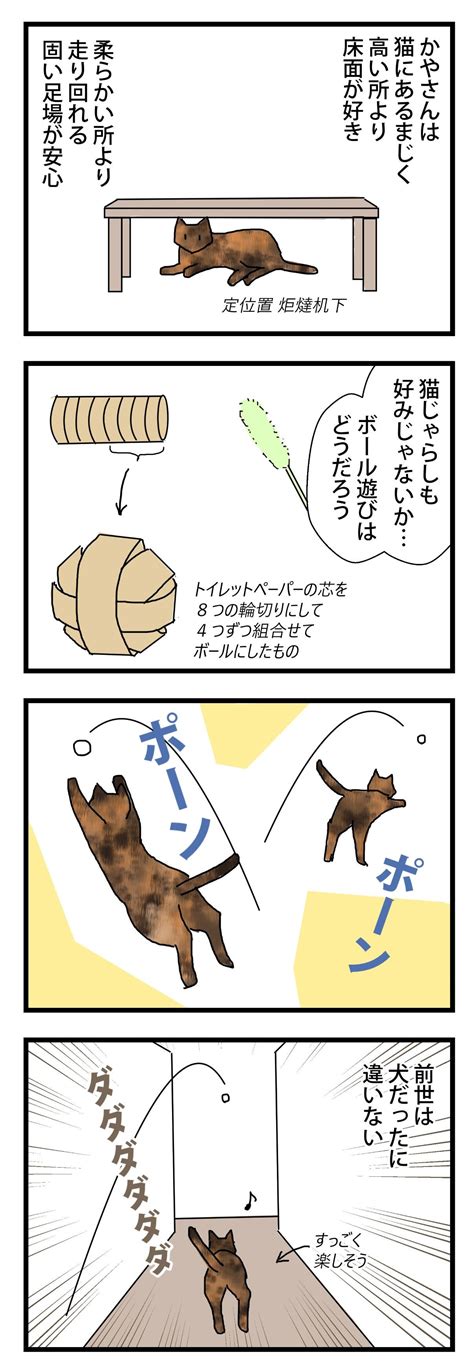 前世 保護猫かやさん～凛々しいサビ猫様と私～