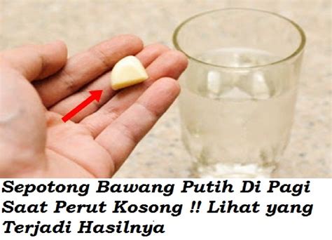 Setelah Makan Bawang Putih Saat Perut Kosong Ini Yang Akan Terjadi