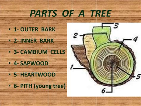 Ppt Woodworking Powerpoint Presentation Free Download Id2695117