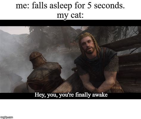 Skyrim Youre Finally Awake Memes Imgflip