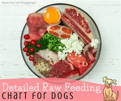 Simplify Feeding Dogs With This Easy Raw Feeding Chart