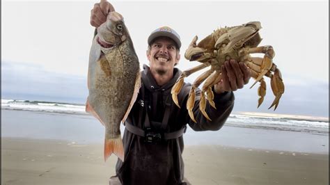 Surf Perch Fishing Redtail Surf Perch And Dungeness Crab How I Find