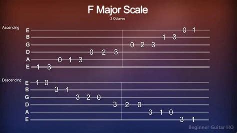 F7 Chord Guitar - Finger Positions, How-to, Variations - Beginner Guitar HQ