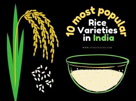 Chawal Varieties 10 Different Types Of Rice Colors And Sizes