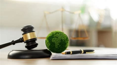 L Avocat En Droit De L Environnement Un Acteur Cl Pour La Protection