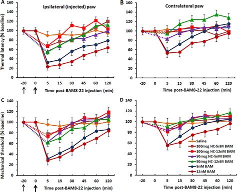 Thermal Hyperalgesia And Mechanical Allodynia Elicited By Histamine And