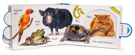 Pet Book By Matthew Van Fleet Brian Stanton Official Publisher