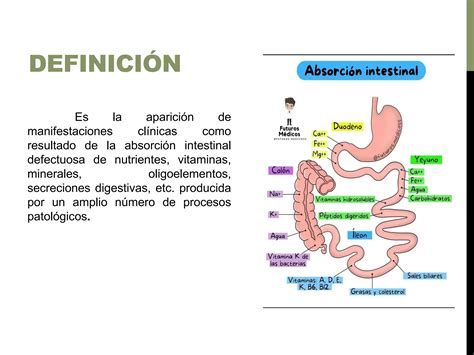 S Ndrome De Malabsorci N Intestinal Pptx