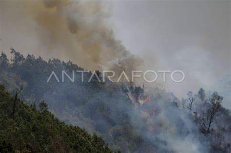 Kawasan Hutan Dan Lahan Gunung Bromo Kembali Terbakar Antara Foto