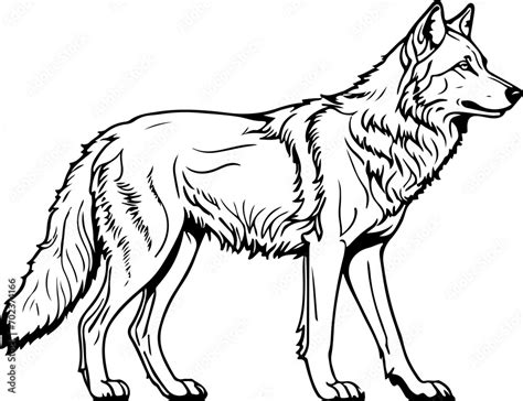 Wolf SVG, Wolf Pack SVG, Great Wolf Lodge SVG, Wolf with Indian ...