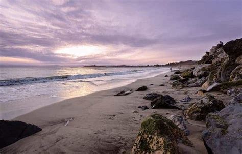 The Best Half Moon Bay Camping - Professional Camping