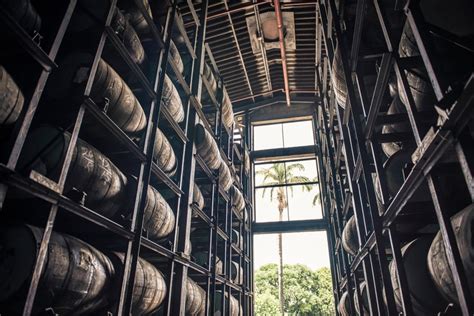 The 11 Best Dark Rum Brands To Sip In 2022 And Beyond The Manual