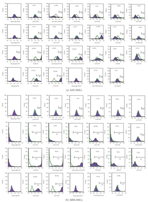 Representative Flow Cytometry Analysis Of Cell Surface Markers In