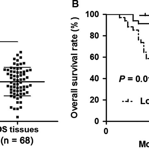 The Expression And Prognostic Significance Of Mir‐876‐5p In