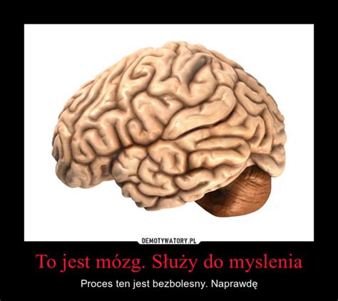 To Jest M Zg S U Y Do Myslenia Demotywatory Pl