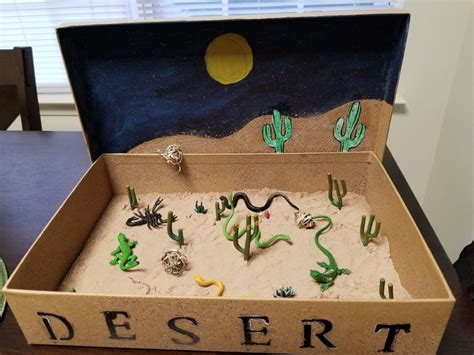 Desert Biome Project Biomes Project Science Projects For Kids