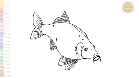 Carp Drawings Easy Fish Drawings How To Draw A Carp Step By Step