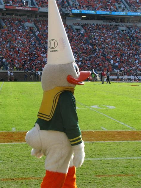 Puddles The Conehead Oregon Ducks University Of Oregon High School