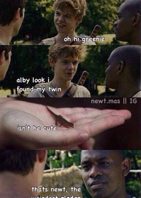 Pin en The Maze Runner Memes Saga corredor laberinto La película del