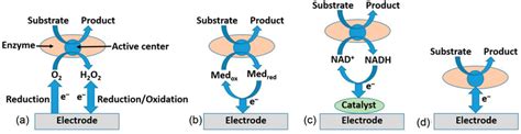 Different Electron Transfer Et Pathways A Et Through Electroactive