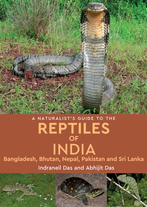 A Naturalist S Guide To The Reptiles Of India John Beaufoy Publishing