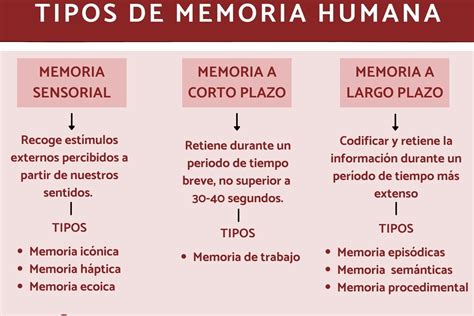 Ejemplos De Memoria De Un Proyecto Gu A Completa