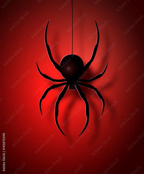 Black spider silhouette. Vector illustration. Stock Vector | Adobe Stock