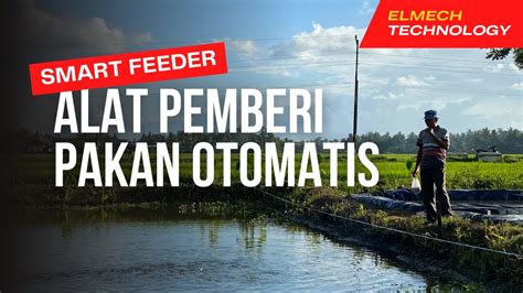 2331 SMART FEEDER Pemberi Pakan Otomatis Secara Terjadwal YouTube