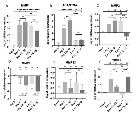 Mmp Adamts And Timp Gene Expression The Relative Mrna Expression