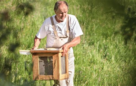 Bio Imkerei Aquilin Moser Bio Honig Direkt Vom Imker