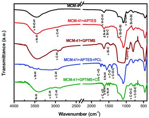 Ftir Analysis Of Pure Mcm 41 And Modified Samples With Aptes Pcl And Download Scientific